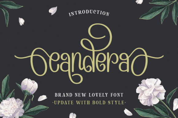 A Chic Display Font That Makes Small Business Branding Effortless