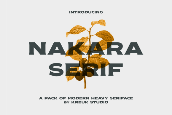 Nakara Serif: A Bold Display Font for Trustworthy Branding