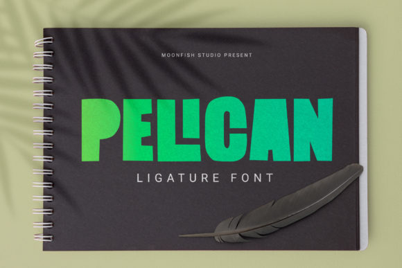 Pelican: A Designer’s Honest Review for Real Projects